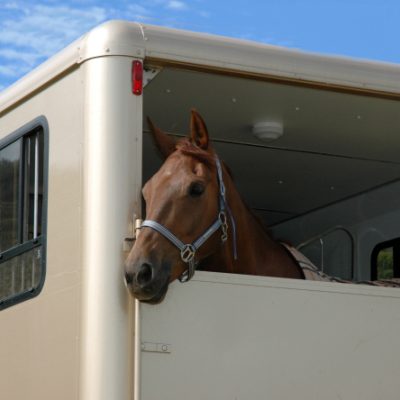 horse box